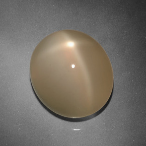 カンタロープオレンジ スタームーンストーン 宝石 - 14.5ct オーバル カボション (ID: 418363)