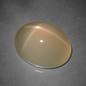 Medium-Dark Orange Sternmondstein Edelstein - 11.2ct Oval Cabochon (ID: 418364)