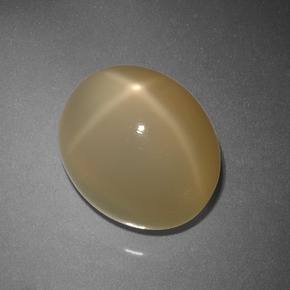 12.6ct Oval Cabochon Cream Star Moonstone for sale thumb image of 12.6ct Oval Cabochon Cream Star Moonstone (ID: 418365)