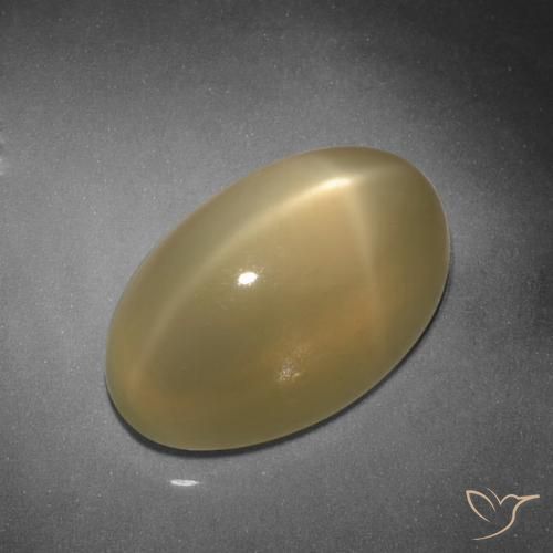 11.26 ct Oval Star Moonstone, 16.6 x 10.3 mm From India, Photo A