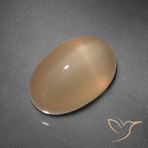 Star Moonstone Gemstone in 12 x 8 mm (calibrated) Size for Sale, Star Moonstone Stone in Medium Orange Color