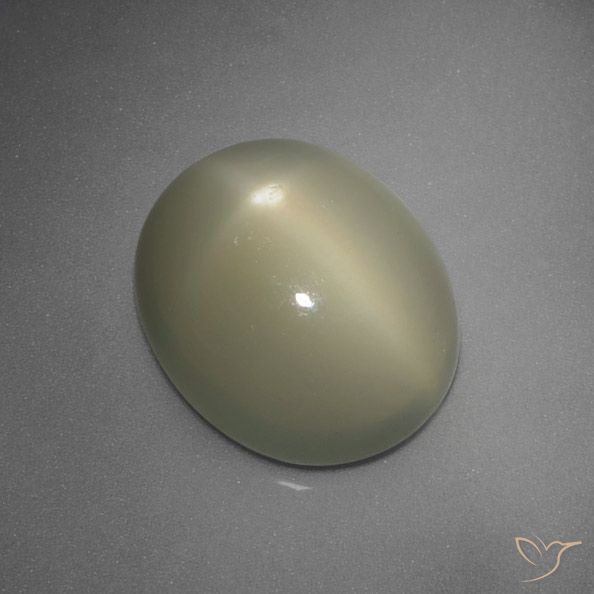 12.3 x 10.4mm Oval Cabochon Yellow Star Moonstone from India, Weight of 5.67ct, Natural untreated gemstone in Translucent Clarity, 1pc Star Moonstone - the Color is Medium Yellow-grey, Mohs Hardness of 6 - 6.5, Photo A