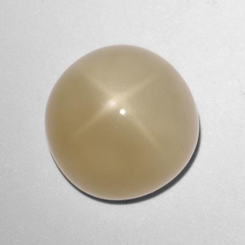 Very Light Brown Star Moonstone Gem - 5.7ct Round Cabochon (ID: 418383)