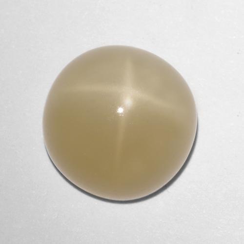 5.72 ct Brown Star Moonstone Stone, Natural Star Moonstone in Round Cabochon Shape for Sale