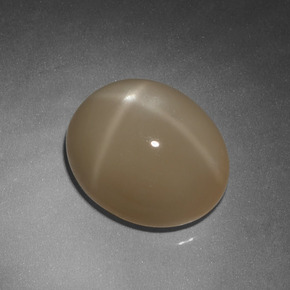 10.02 ct Cream Star Moonstone Stone, Natural Star Moonstone in Oval Cabochon Shape for Sale
