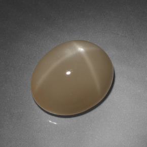 Star Moonstone Gemstone in 14.6 x 12 mm Size for Sale, Star Moonstone Stone in Cream Color