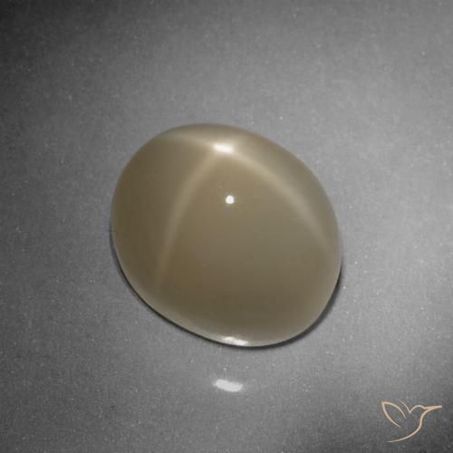 9.79ct Natural Light Tortilla Brown Star Moonstone, Oval, Translucent