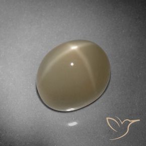 9.79 ct Brown Star Moonstone Stone, Natural Star Moonstone in Oval Cabochon Shape for Sale