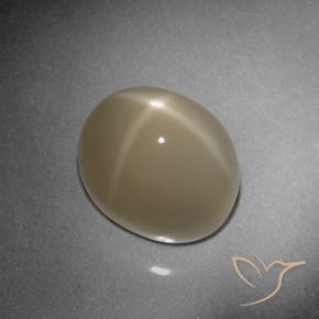 Star Moonstone Gemstone in 12.7 x 10.3 mm Size for Sale, Star Moonstone Stone in Light Tortilla Brown Color