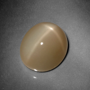 Star Moonstone Gemstone in 13.2 x 11.4 mm Size for Sale, Star Moonstone Stone in Cream Peach Color