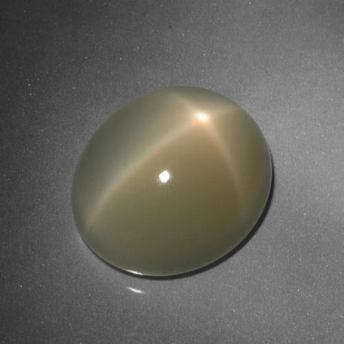 Light Coffee Brown Star Moonstone Gem - 9.9ct Oval Cabochon (ID: 418393)