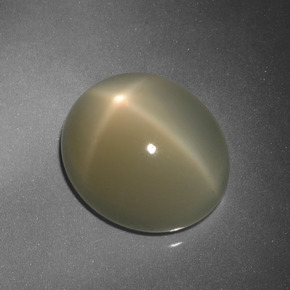 9.88 ct Brown Star Moonstone Stone, Natural Star Moonstone in Oval Cabochon Shape for Sale
