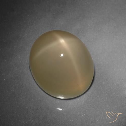 10.80ct Natural Medium-Dark Orange Star Moonstone, Oval, Translucent