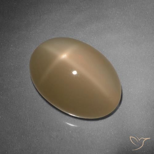 9.26ct Natural Cantaloupe Orange Star Moonstone, Oval, Translucent
