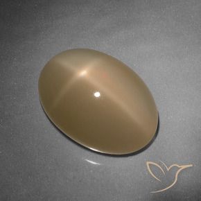 Star Moonstone Gemstone in 15.7 x 11.3 mm Size for Sale, Star Moonstone Stone in Cantaloupe Orange Color