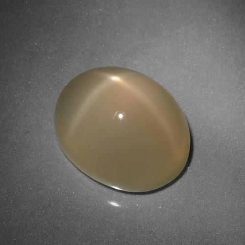 Brownish Orange Star Moonstone Gem - 9.3ct Oval Cabochon (ID: 418396)
