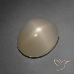 Star Moonstone Gemstone in 13.8 x 11.3 mm Size for Sale, Star Moonstone Stone in Pale Brown Color