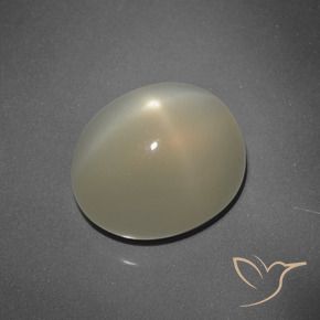 Star Moonstone Gemstone in 12.4 x 10.5 mm Size for Sale, Star Moonstone Stone in Earthy Brown Color