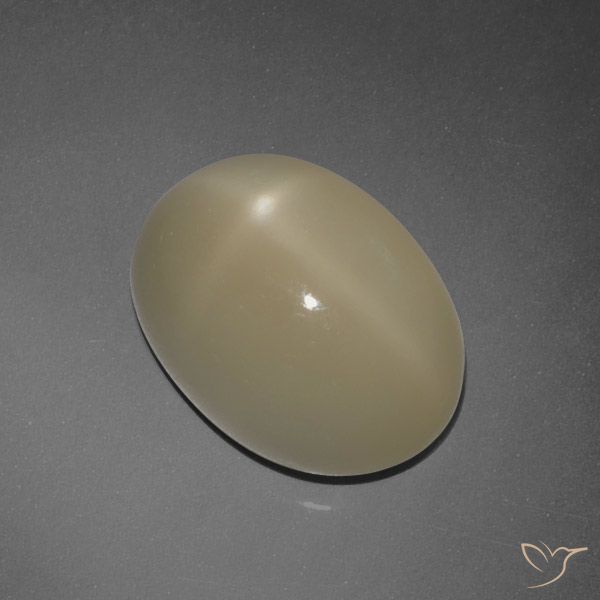 7.30 ct Brown Star Moonstone Gemstone, Star Moonstone Gem in Oval Cabochon Shape for Sale.
