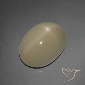7.30 ct Brown Star Moonstone Stone, Natural Star Moonstone in Oval Cabochon Shape for Sale