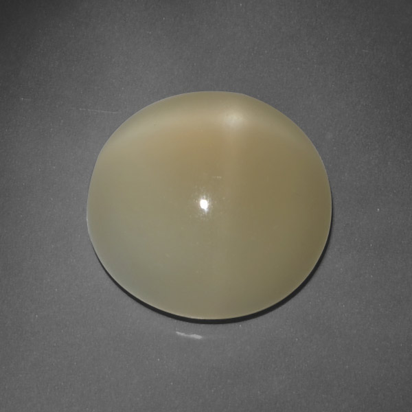 Light Coffee Brown Star Moonstone Gem - 7.6ct Round Cabochon (ID: 418406)