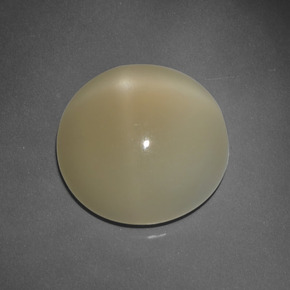 7.63 ct Brown Star Moonstone Stone, Natural Star Moonstone in Round Cabochon Shape for Sale