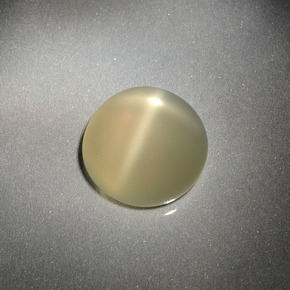 3.69 ct Cream Star Moonstone Gemstone, Star Moonstone Gem in Round Cabochon Shape for Sale.