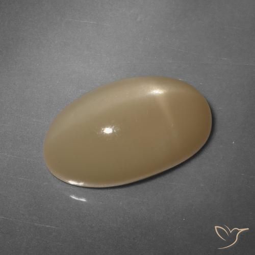 Pierre de Lune Étoilé Orange cantaloup Ovale 11,04 ct de l'Inde, Dimension 17,6 x 10,3mm, Pierre gemme naturelle Non traité, pureté Translucide, 1 pièce Pierre de Lune Étoilé oval cabochon, dureté de Mohs de 6 à 6.5, Photo A
