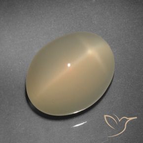 11.92 ct Brown Star Moonstone Stone, Natural Star Moonstone in Oval Cabochon Shape for Sale