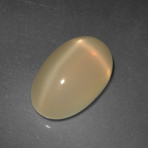 Tangerine Star Moonstone Gem - 5ct Oval Cabochon (ID: 418553)