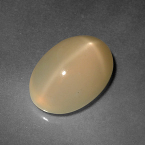 Golden Tangerine Star Moonstone Gem - 4.9ct Oval Cabochon (ID: 418556)