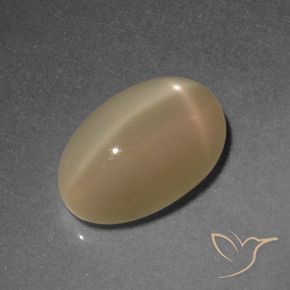 Star Moonstone Gemstone in 12.8 x 8.2 mm Size for Sale, Star Moonstone Stone in Medium Orange Color