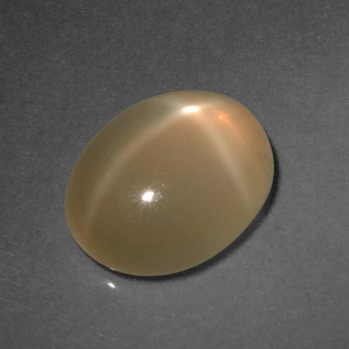 Pierre de Lune Étoilé Orange Ovale 12,7 x 9,8mm de l'Inde, poids de 4,93 ct, pierre gemme naturelle Non traité de pureté Translucide, 1 pièce Pierre de Lune Étoilé oval cabochon, couleur : Orange cantaloup, dureté de Mohs de 6 à 6.5, Photo A