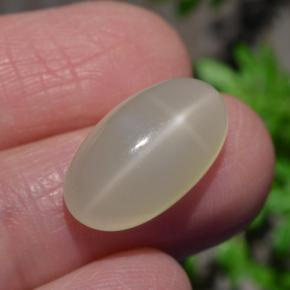 6.9ct Oval Cabochon Cream Star Moonstone Gem for sale 6.9ct Oval Cabochon Cream Star Moonstone Gem (ID: 418563)