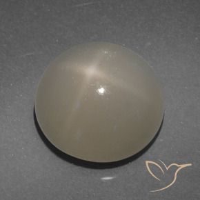 7.71 ct Brown Star Moonstone Stone, Natural Star Moonstone in Round Cabochon Shape for Sale