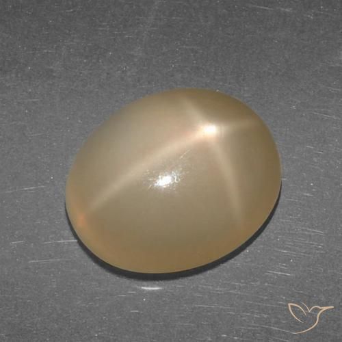 5.27ct Natural Medium-Dark Orange Star Moonstone, Oval, Translucent