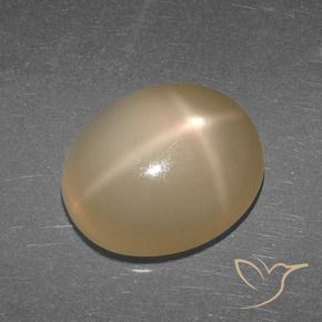 Star Moonstone Gemstone in 13 x 11 mm (calibrated) Size for Sale, Star Moonstone Stone in Medium-Dark Orange Color