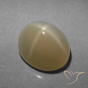 5.23 ct Brown Star Moonstone Stone, Natural Star Moonstone in Oval Cabochon Shape for Sale