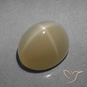 Star Moonstone Gemstone in 11 x 9 mm (calibrated) Size for Sale, Star Moonstone Stone in Very Light Brown Color