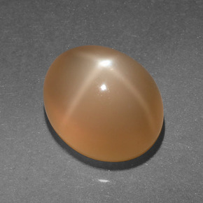 Star Moonstone Gemstone in 11 x 9 mm (calibrated) Size for Sale, Star Moonstone Stone in Cream Peach Color