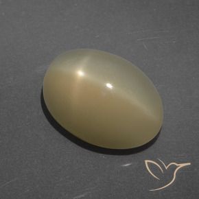 7.14 ct Brown Star Moonstone Stone, Natural Star Moonstone in Oval Cabochon Shape for Sale