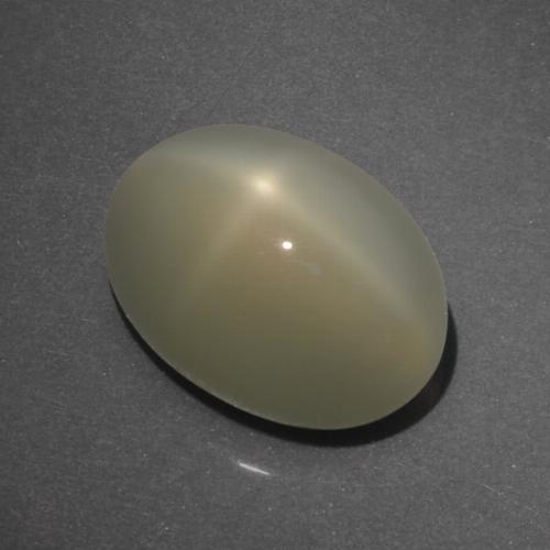 Light Warm Brown Star Moonstone Gem - 7.9ct Oval Cabochon (ID: 418748)