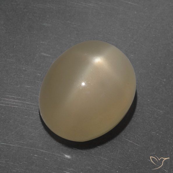 7.35ct Natural Medium-Dark Orange Star Moonstone, Oval, Translucent