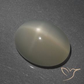 7.62 ct Brown Star Moonstone Stone, Natural Star Moonstone in Oval Cabochon Shape for Sale