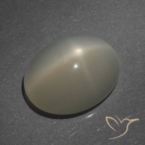 Star Moonstone Gemstone in 14.6 x 11.6 mm Size for Sale, Star Moonstone Stone in Light Coffee Brown Color