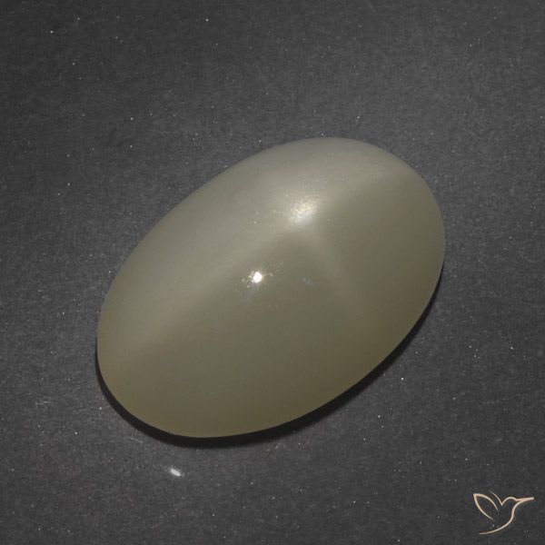 Pierre de Lune Étoilé Ovale en damier des États-Unis 7,66 ct, dimension 15,5 x 9,9mm, pureté Translucide, pierre gemme naturelle Non traité, 1 pièce Pierre de Lune Étoilé de couleur Brun café léger, dureté Mohs de 6 à 6.5, Photo A