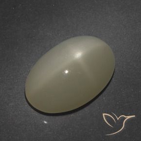 Star Moonstone Gemstone in 15 x 10 mm (calibrated) Size for Sale, Star Moonstone Stone in Light Coffee Brown Color