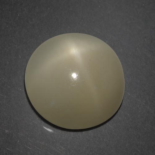 Marrone chiaro Pietra di luna stellata Gem - 7.2ct Cabochon rotondo (ID: 418852)