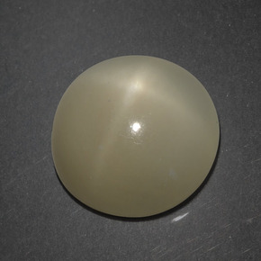 7.18 ct Brown Star Moonstone Stone, Natural Star Moonstone in Round Cabochon Shape for Sale