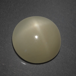 Star Moonstone Gemstone in 12.5 mm Size for Sale, Star Moonstone Stone in Light Brown Color